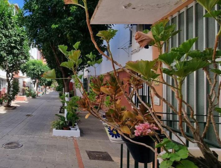 Apartamento Triana Apartman Sevilla Kültér fotó